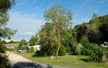 Camping Les Peupliers