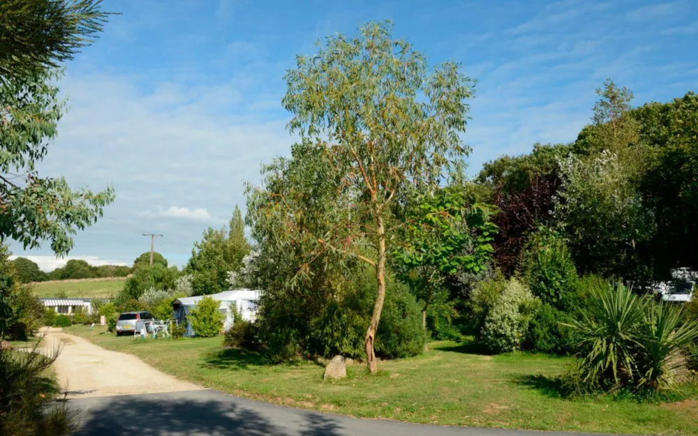 Kampeerplaats(en) - Standplaats - Camping Les Peupliers