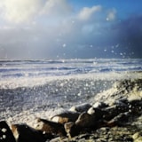 Foto #44 van Camping Les Peupliers