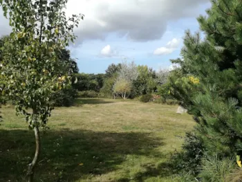 Pitch - Pitch Bivouac (1 Night / 18H - 9H) - Camping Les Peupliers