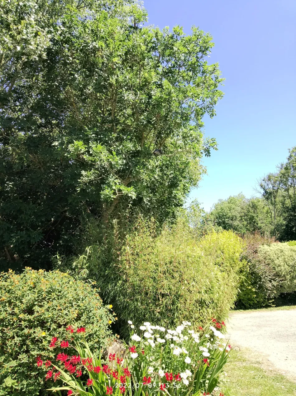 Camping Les Peupliers