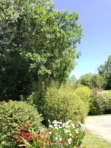 Foto #9 van Camping Les Peupliers