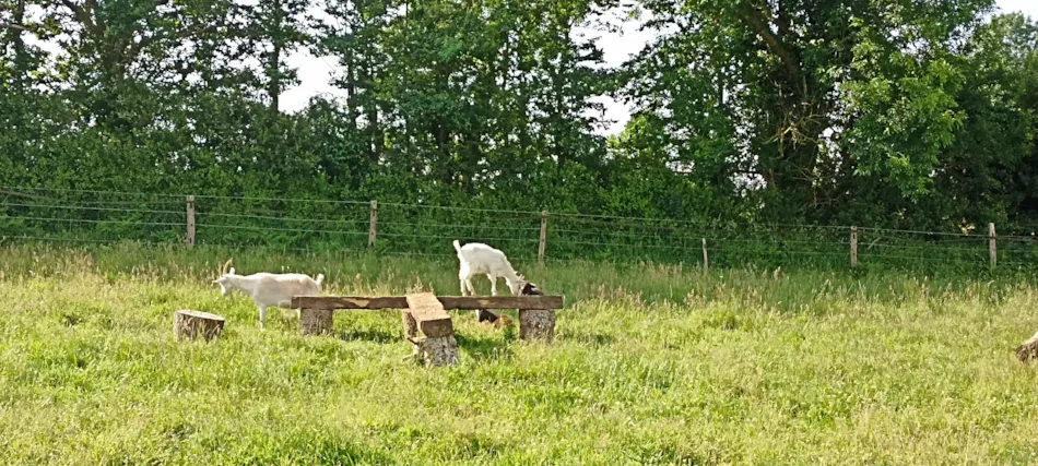 Camping Les Peupliers