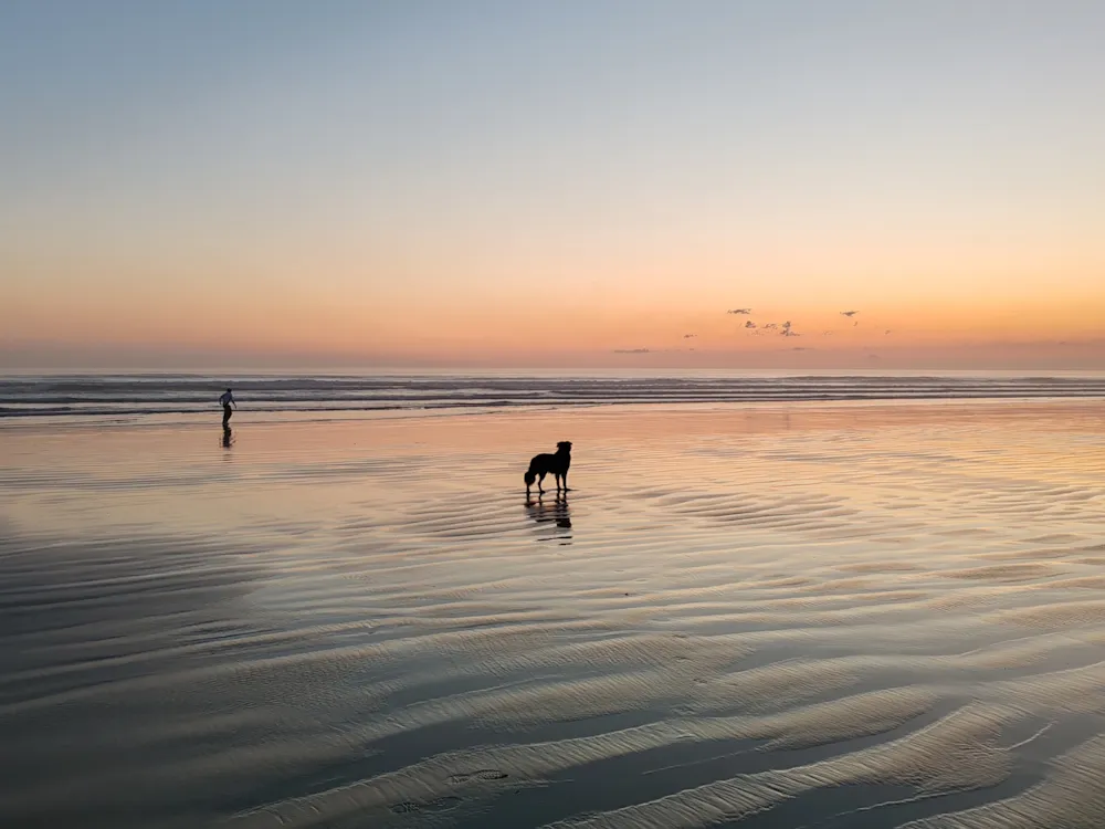 Camping Les Peupliers - image n°23 - UniversalBooking