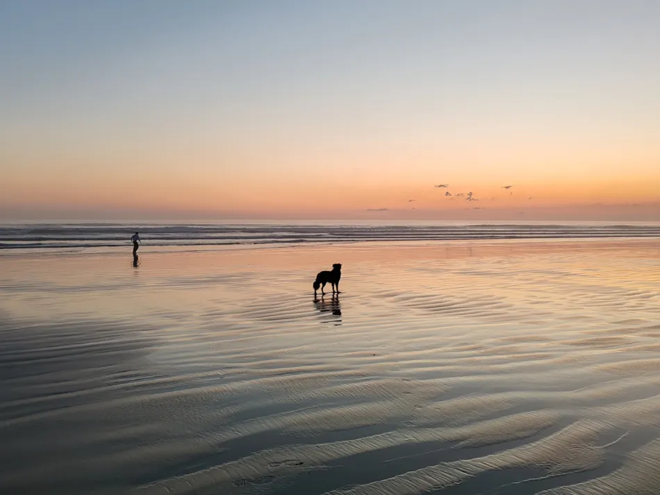 Camping Les Peupliers
