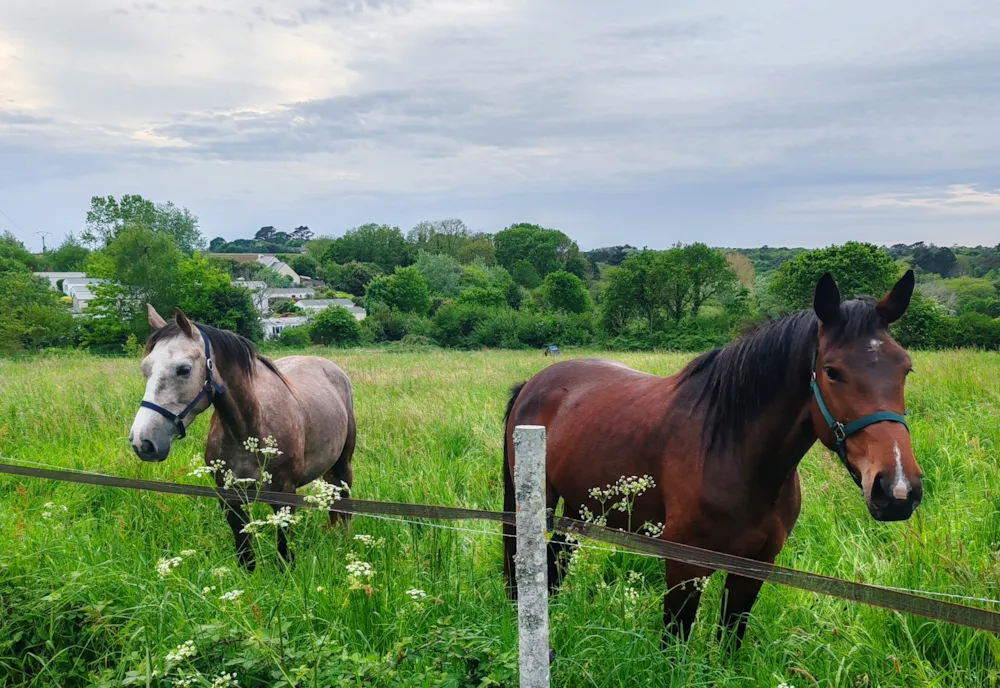 Camping Les Peupliers - image n°43 - UniversalBooking