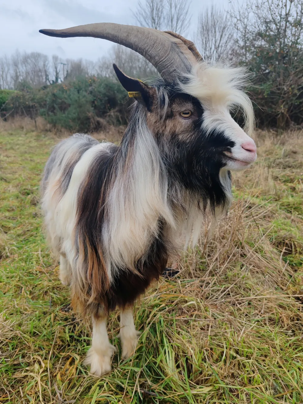 Camping Les Peupliers - image n°48 - UniversalBooking