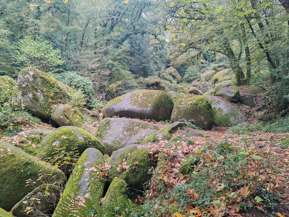 Camping Les Peupliers - image n°61 - UniversalBooking