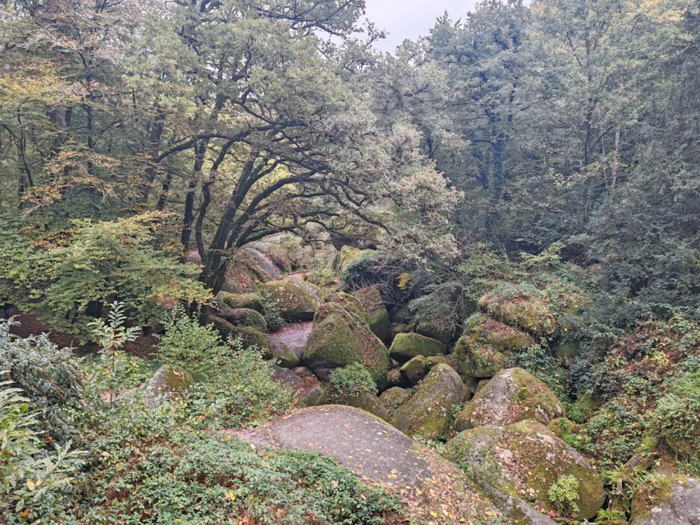 Camping Les Peupliers - image n°62 - UniversalBooking