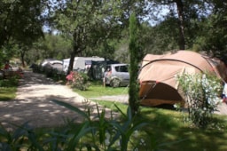 Kampeerplaats(en) - Standplaats : 1 Auto + Tent/Caravan Of Kampeerauto - Camping Charlemagne