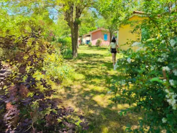 Mietunterkunft - Hütte 1 Zimmer - Le Hameau des Genêts