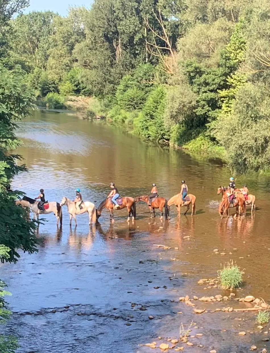 Le Hameau des Genêts