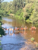 Foto #6 van Le Hameau des Genêts