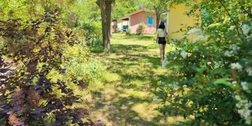 Le Hameau des Genêts - image n°2 - Camping Direct