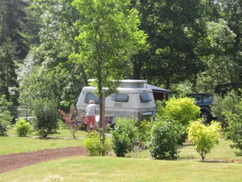Pitch - Confort + Package (1 Tent, Caravan Or Motorhome / 1 Car / Electricity/ Water On Pitch) - Flower Camping La Rochelambert