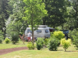 Kampeerplaats(en) - Campingplaats Confort + (1 Tent, Caravan Of Camper / 1 Auto / Elektriciteit/ ) - Flower Camping La Rochelambert