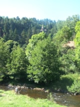 Foto #77 van Flower Camping La Rochelambert