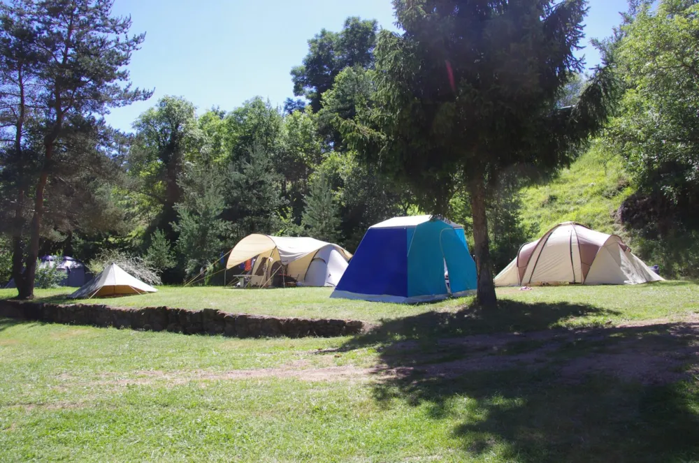 campingplaats nature (1 tent, caravan of camper / 1 auto)
