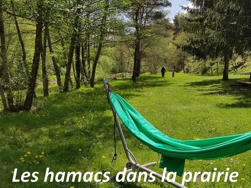 Flower Camping La Rochelambert