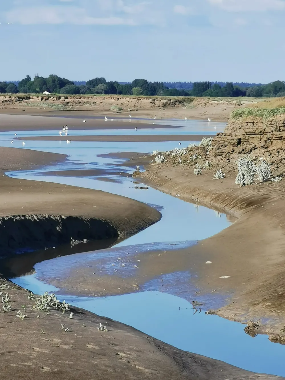 Camping de la Baie          Sites et Paysages - Baie de Somme