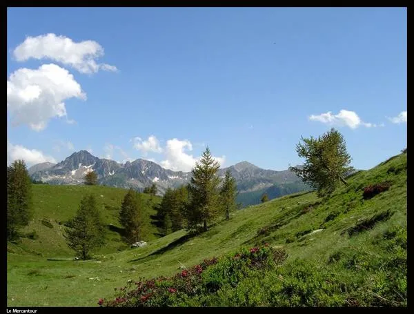 Parc des Maurettes