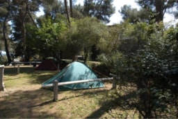 Kampeerplaats(en) - [B] Kleine Tent (Max. 9 M²) + Auto - Parc des Maurettes