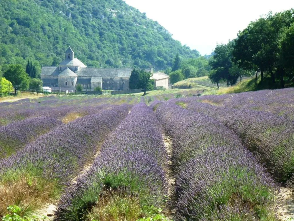 Camping La Coutelière