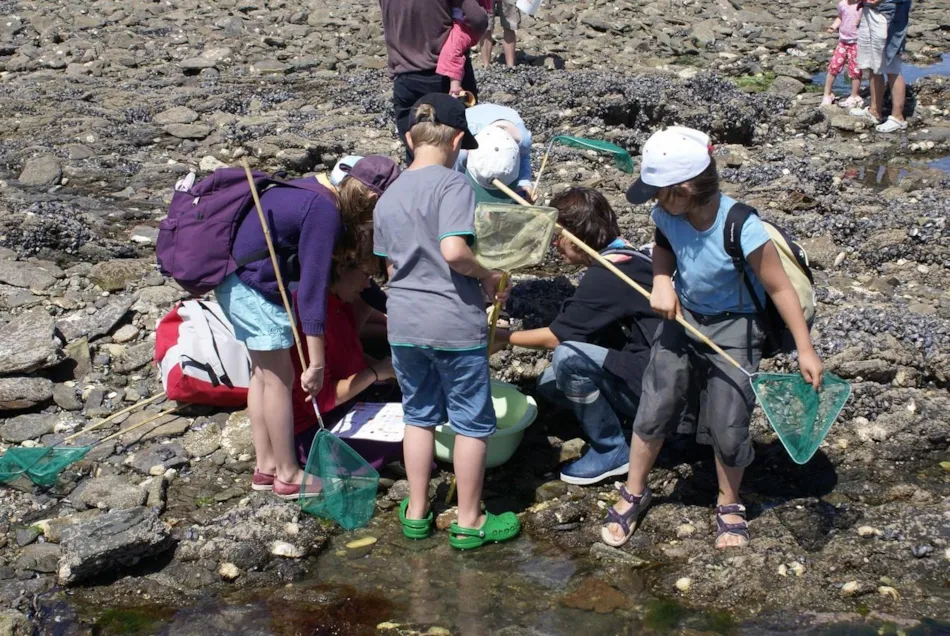 Camping de la Plage de Cleut Rouz