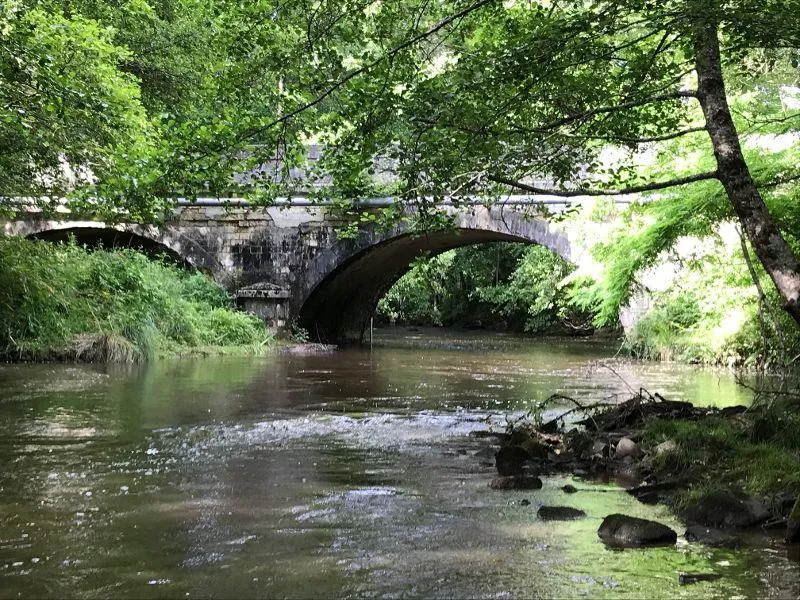 Camping La Chatonnière