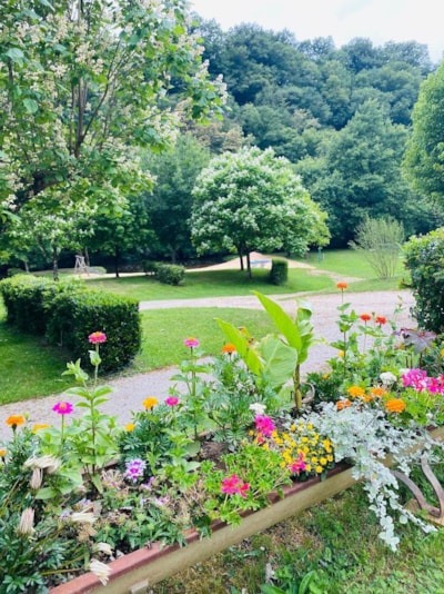 pitch NATURE - Sur plan du camping de 26 à 49 - — 6