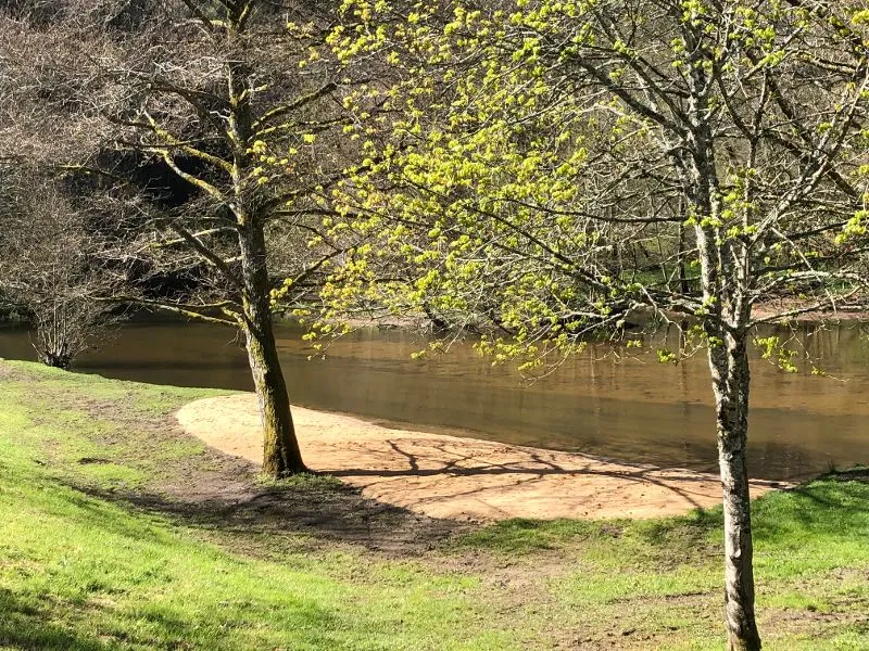 Camping La Chatonnière