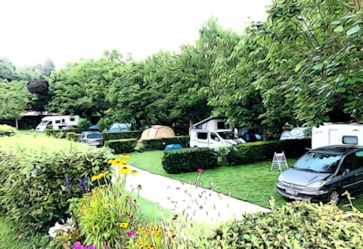 pitch NATURE - Sur plan du camping de 26 à 49 - — 1