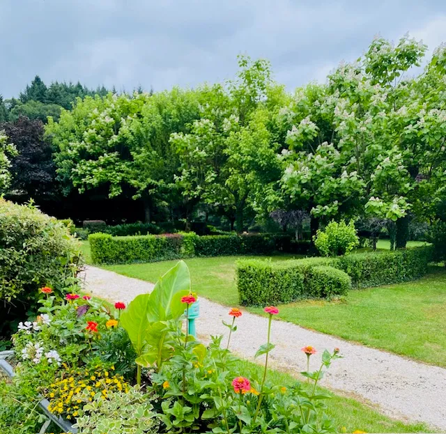Emplacement Belle Vue  - Vue Sur Rivière  - Sur Plan Du Camping De 1 À 25 -