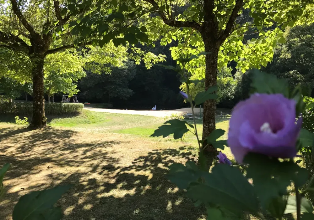 Camping La Chatonnière