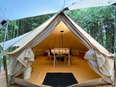 Canvas lodge in the bamboo grove