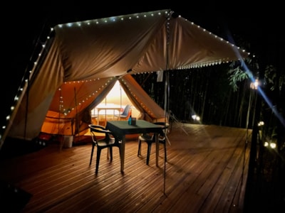 Canvas lodge in the bamboo grove