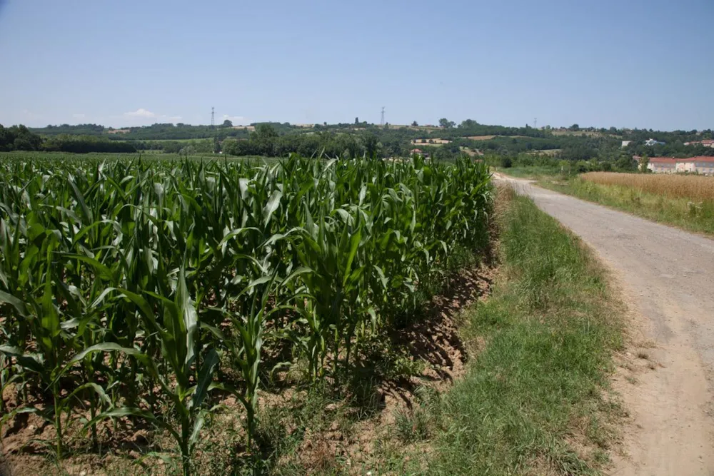 Camping Marvilla Parks - Le Château de Galaure