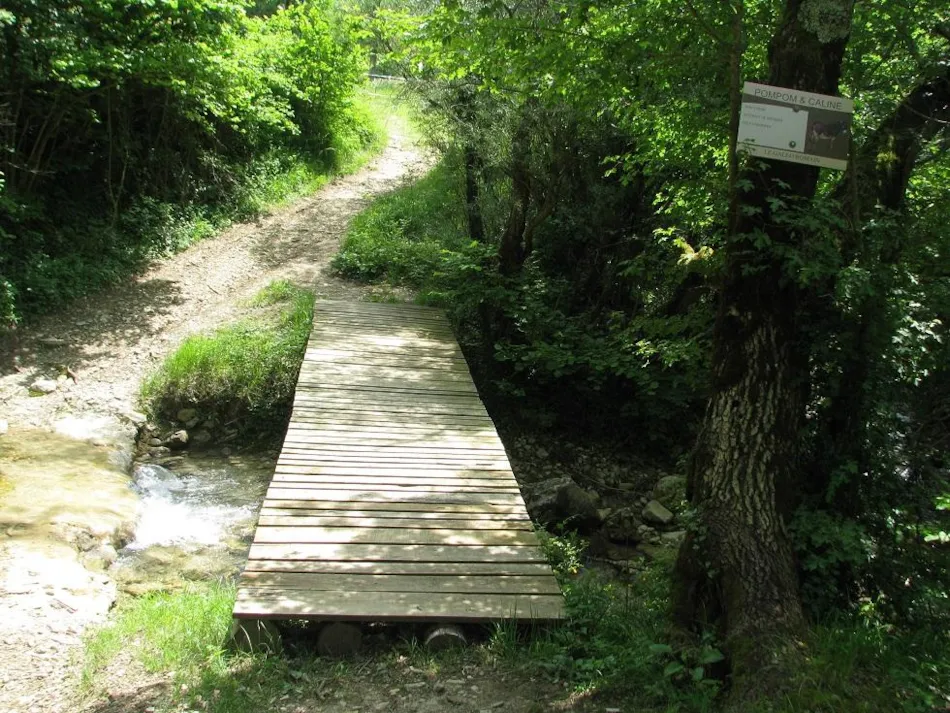 Camping Le Gallo Romain