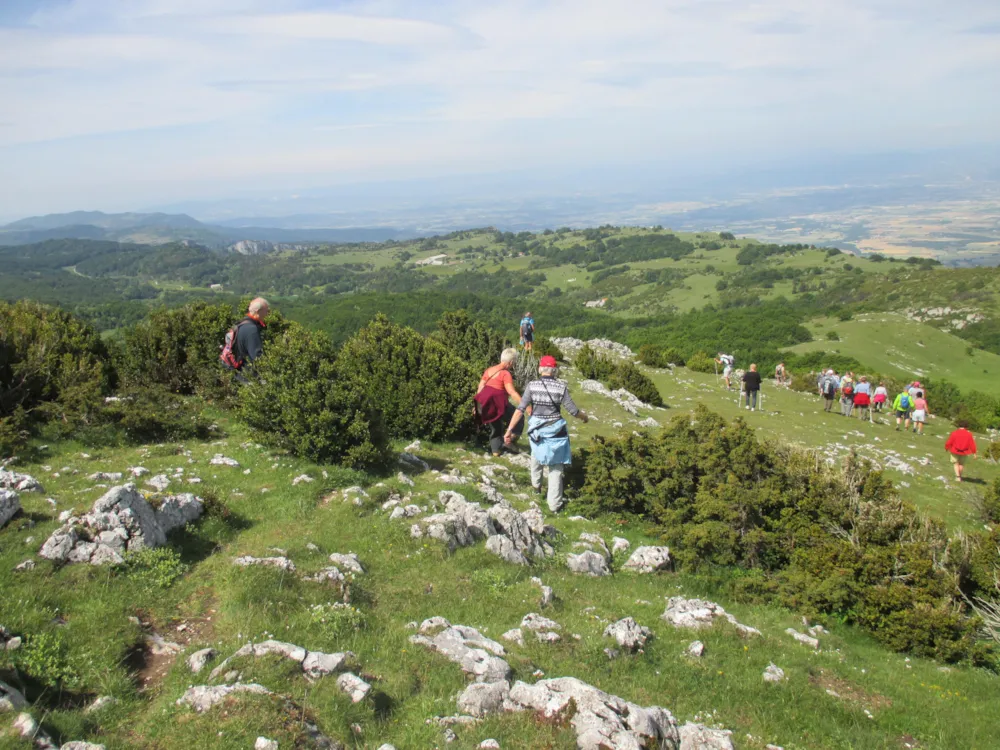 Camping Le Gallo Romain - image n°38 - RhoneAlpes