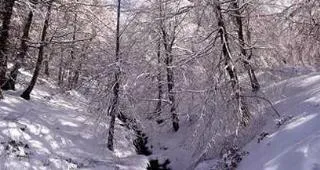 Camping Urbasa Bioitza