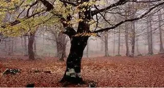 Camping Urbasa Bioitza