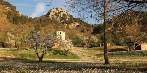 Emplacement - Forfait Emplacement - image n°2 - Camping Les Ephélides