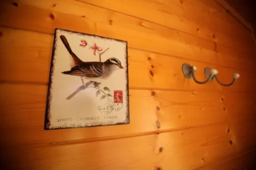 Location - Chalet - 48 M² - 2 Chambres - Spécialement Équipé Pmr - image n°4 - Camping Les Ephélides