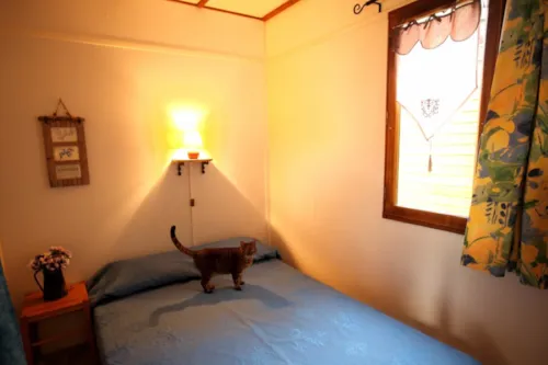Location - Chalet - 29 M² - 2 Chambres - image n°4 - Camping Les Ephélides