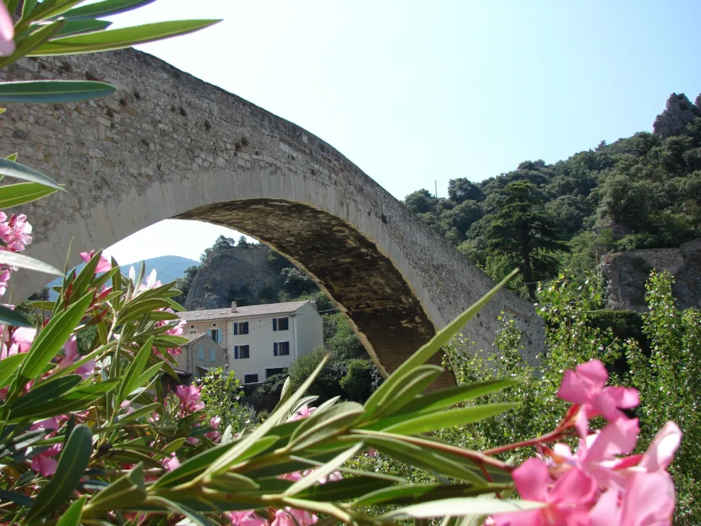 Camping Les Terrasses Provençales - image n°25 - Drome
