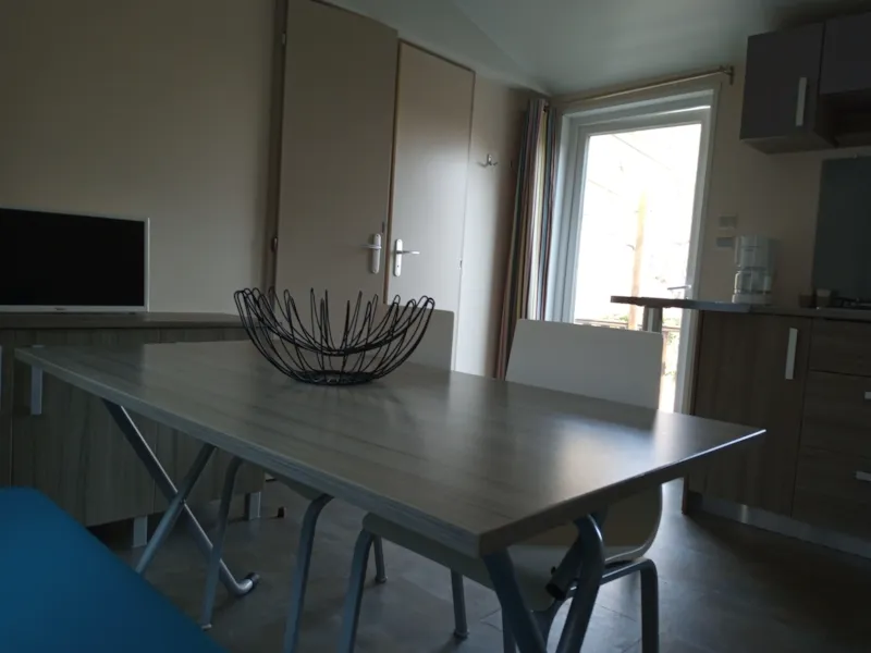 Mobil Home Louisiane Climatise