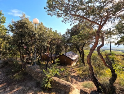 Camping Les Terrasses Provençales