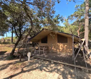 Locatif - Zelt Lodge Aventure - 2 zimmer - Camping Les Terrasses Provençales