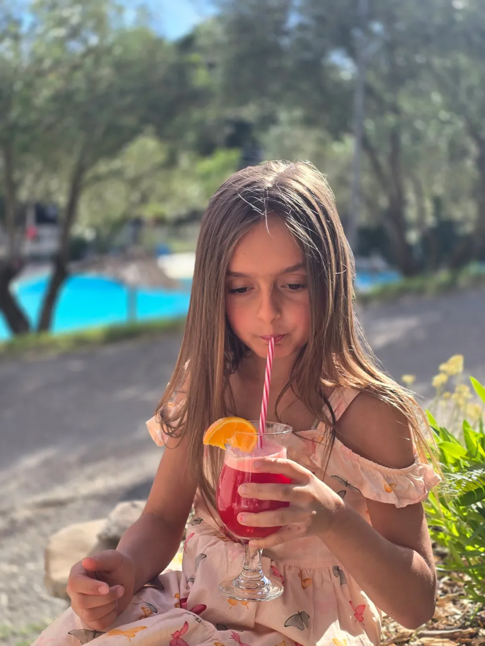 Camping Les Terrasses Provençales