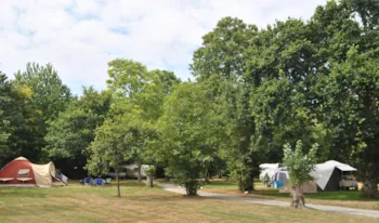 Stellplatz - Stellplatz - Pallieter camping naturiste